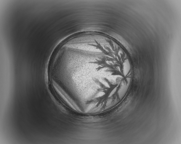 X0000101710980200807311448