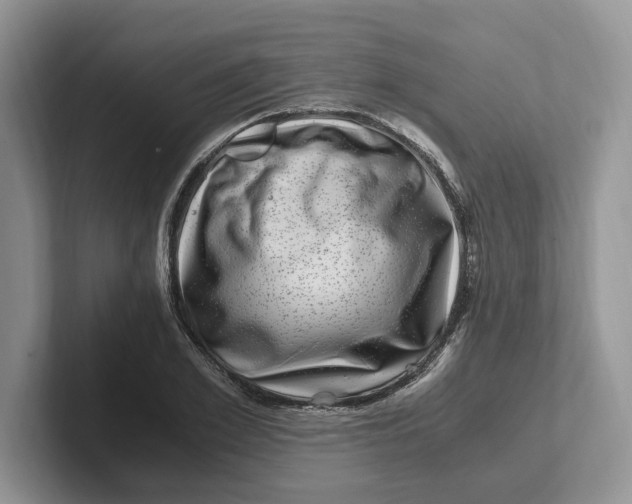 X0000101710981200807311448