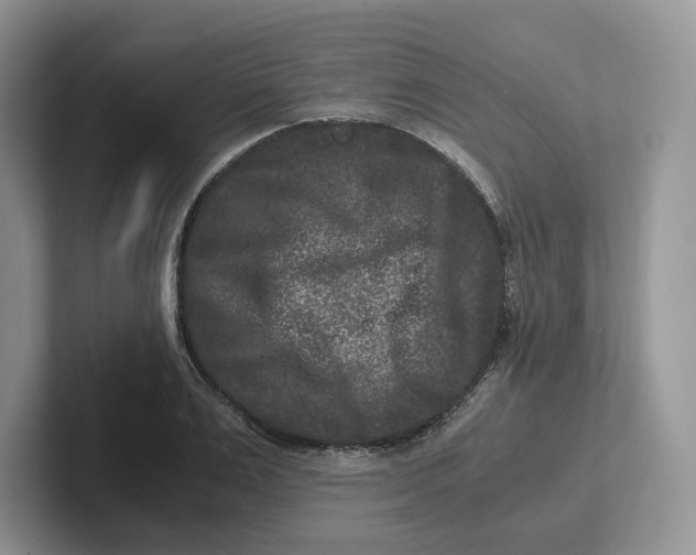 X0000101710983200807311448