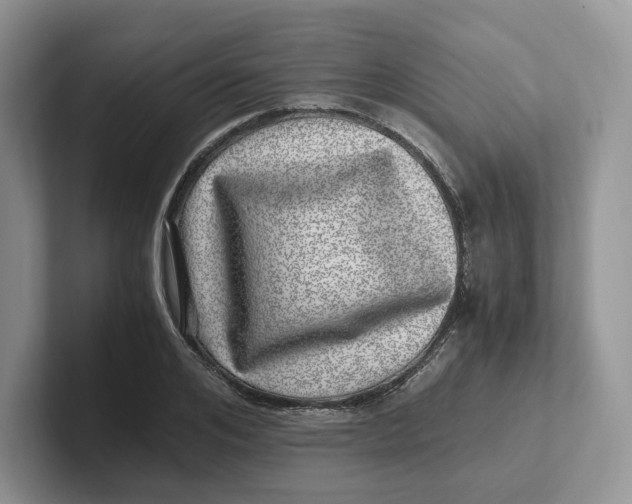 X0000101710984200807311448