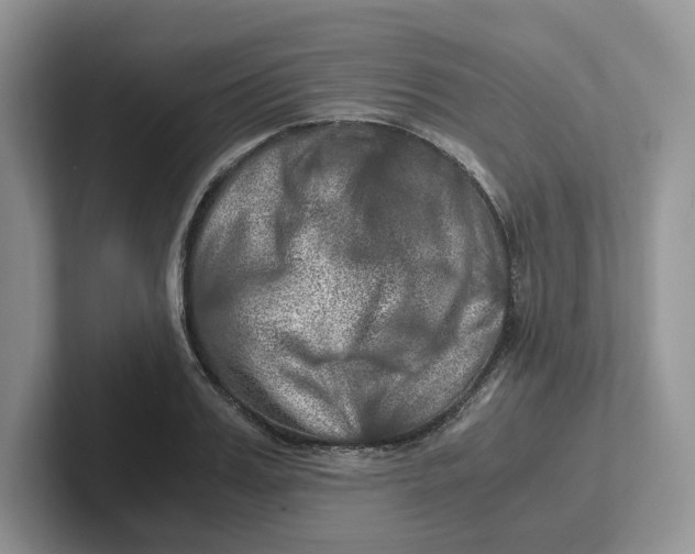 X0000101710987200807311448