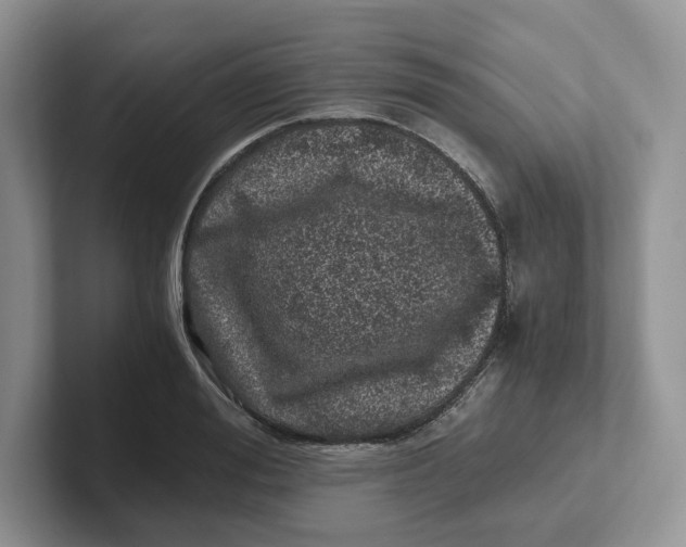 X0000101710988200807311448