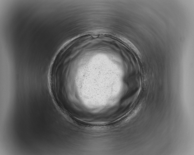 X0000101710989200807311448