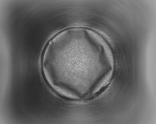 X0000101710990200807311448