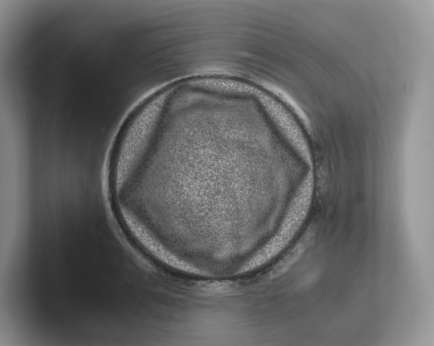 X0000101710991200807311448