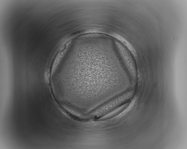 X0000101710993200807311448