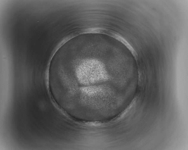 X0000101710994200807311448