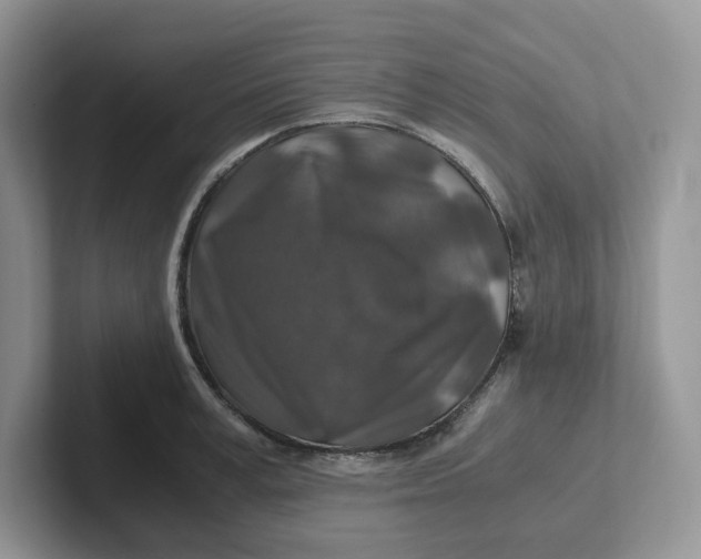 X0000101710995200807311448