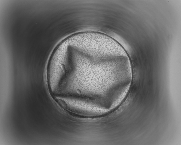 X0000101710996200807311448