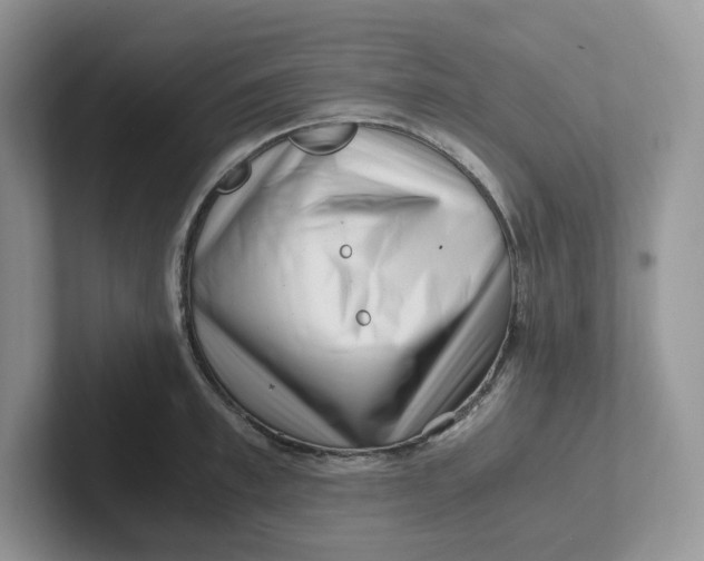 X0000101710997200807311448