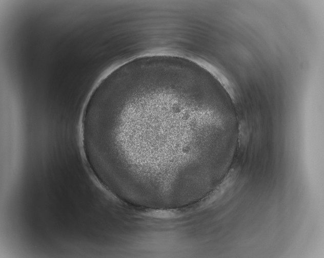 X0000101710998200807311448