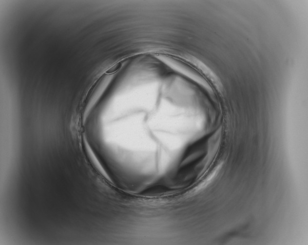 X0000101711001200807311448