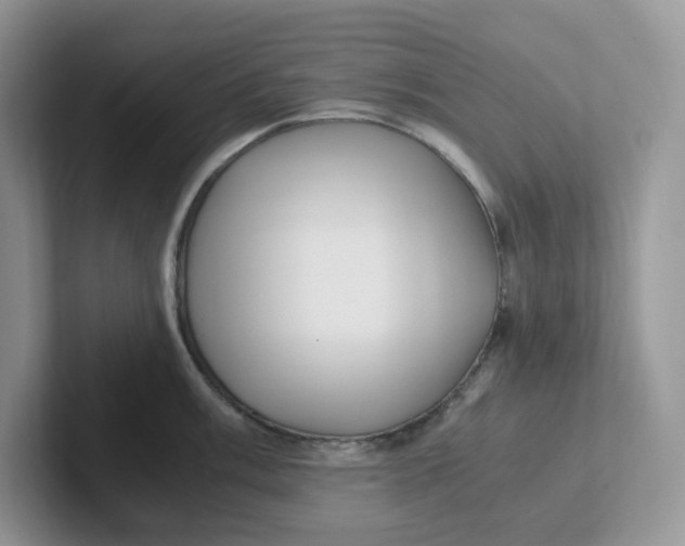 X0000101711003200807311448