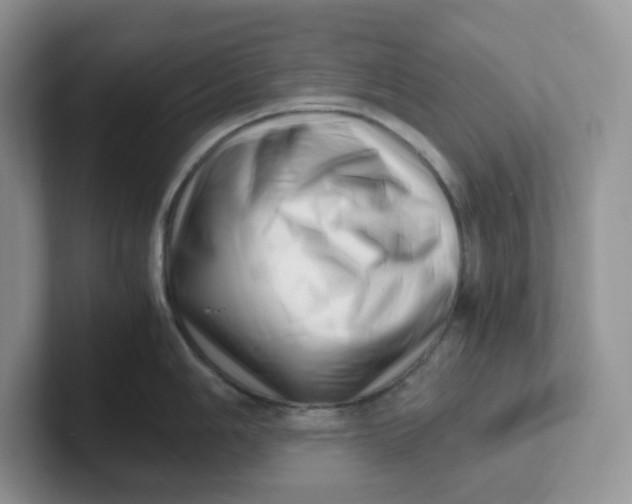 X0000101711006200807311448