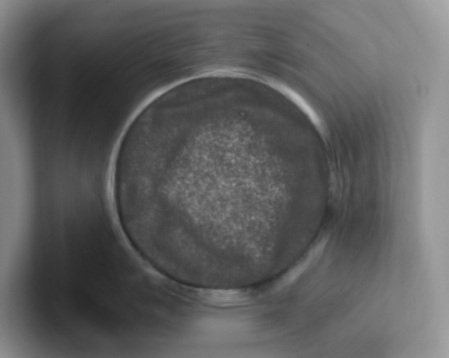 X0000101711007200807311448