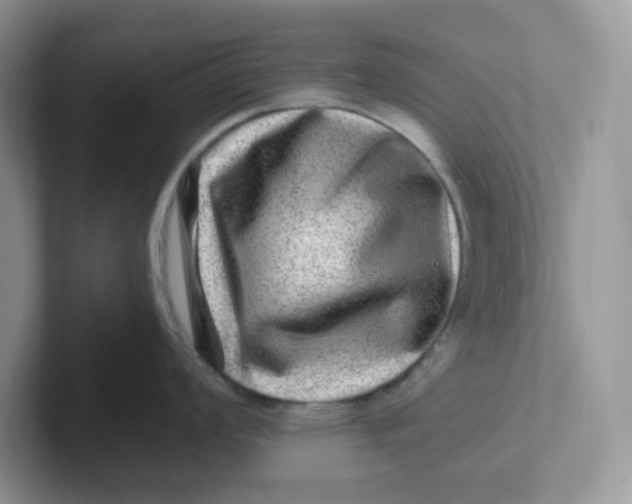 X0000101711008200807311448