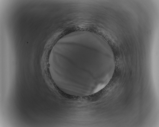 X0000101711009200807311447