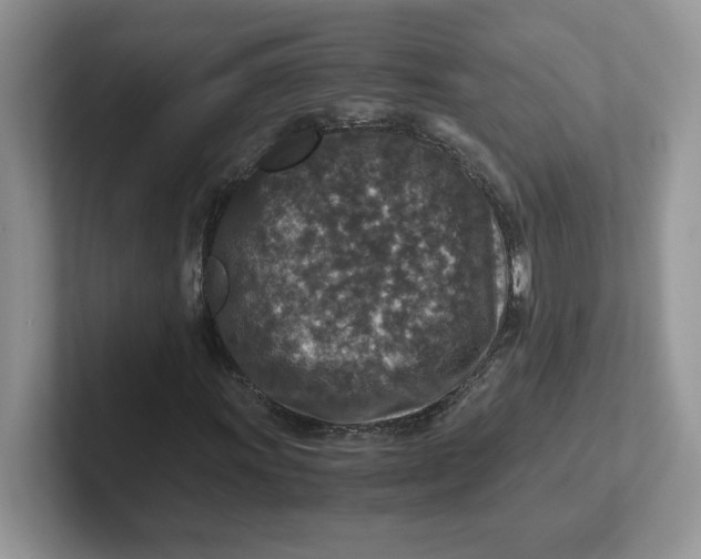 X0000101711011200807311447