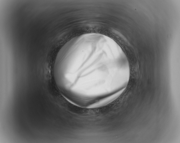 X0000101711013200807311447