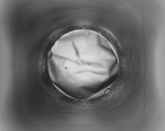 X0000101711016200807311447