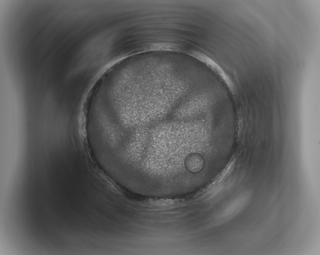 X0000101711019200807311447