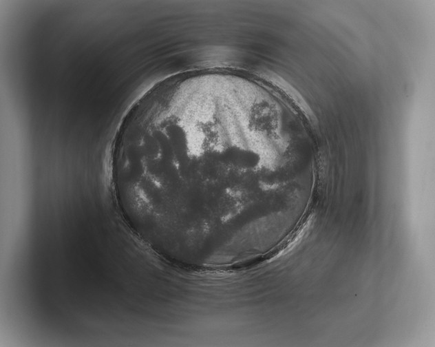 X0000101711023200807311447