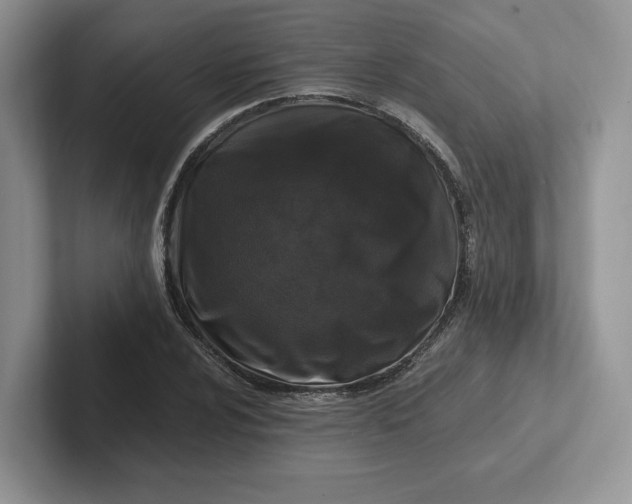 X0000101711024200807311447