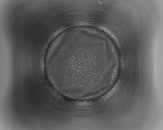 X0000101711025200807311447