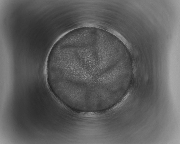 X0000101711028200807311448