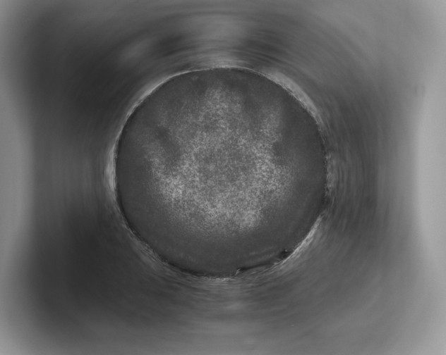 X0000101711031200807311448