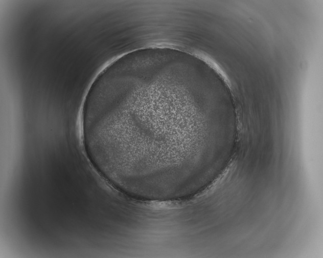 X0000101711032200807311448