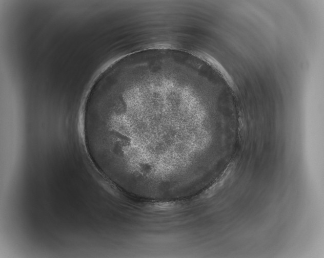 X0000101711035200807311448