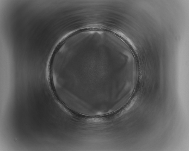 X0000101711037200807311448