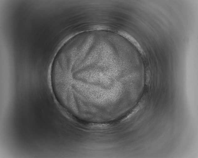 X0000101711039200807311448