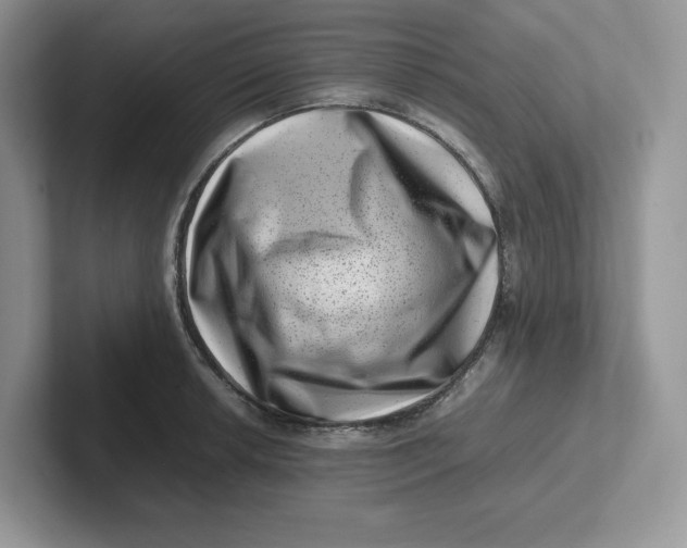 X0000101711042200807311448