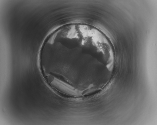 X0000101711045200807311448