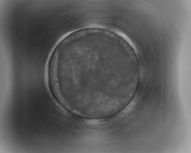 X0000101711048200807311448