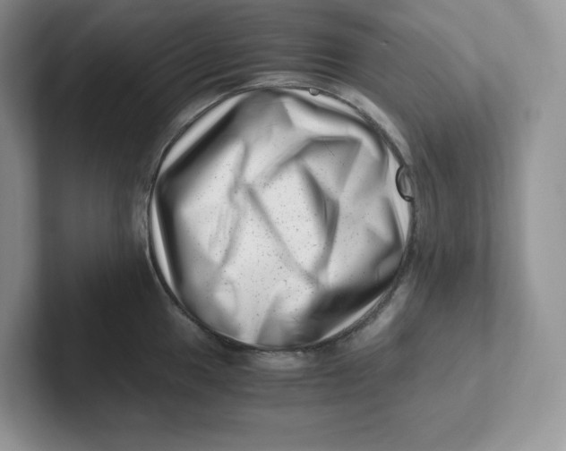 X0000101711049200807311448