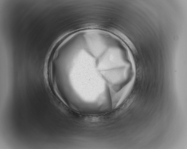 X0000101711051200807311448