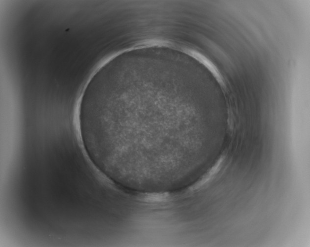 X0000101711055200807311448