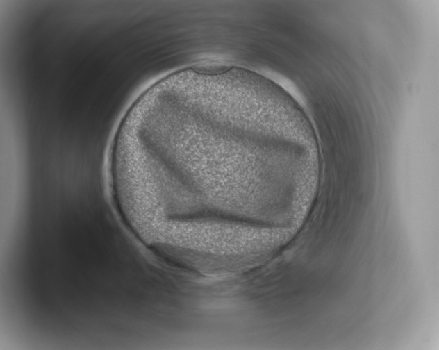 X0000101711056200807311448