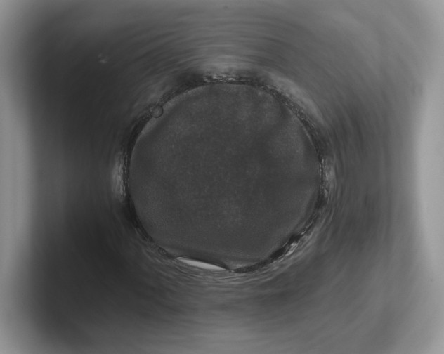 X0000101711060200807311447