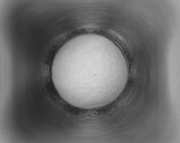 X0000101711062200807311447