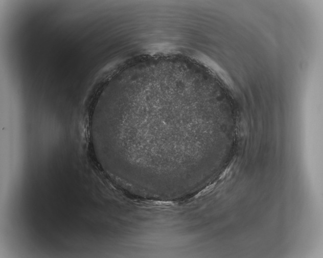 X0000101711063200807311447