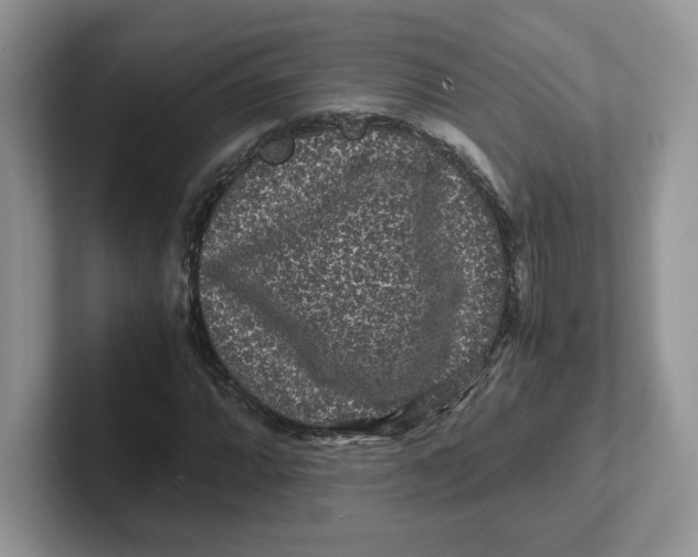 X0000101711064200807311447