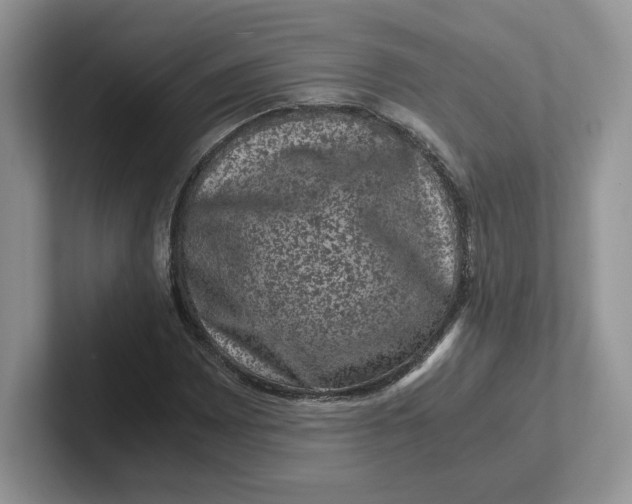 X0000101711065200807311447