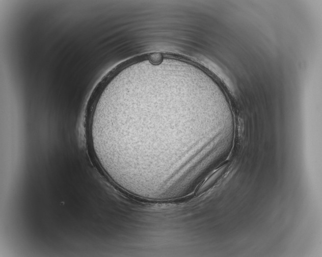 X0000101711068200807311447