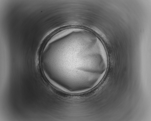 X0000101711070200807311447