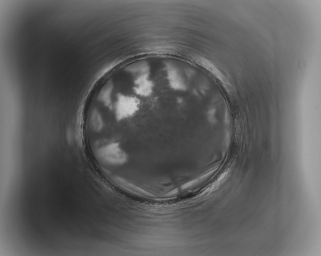 X0000101711071200807311447