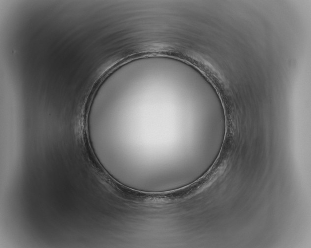 X0000101711073200807311447